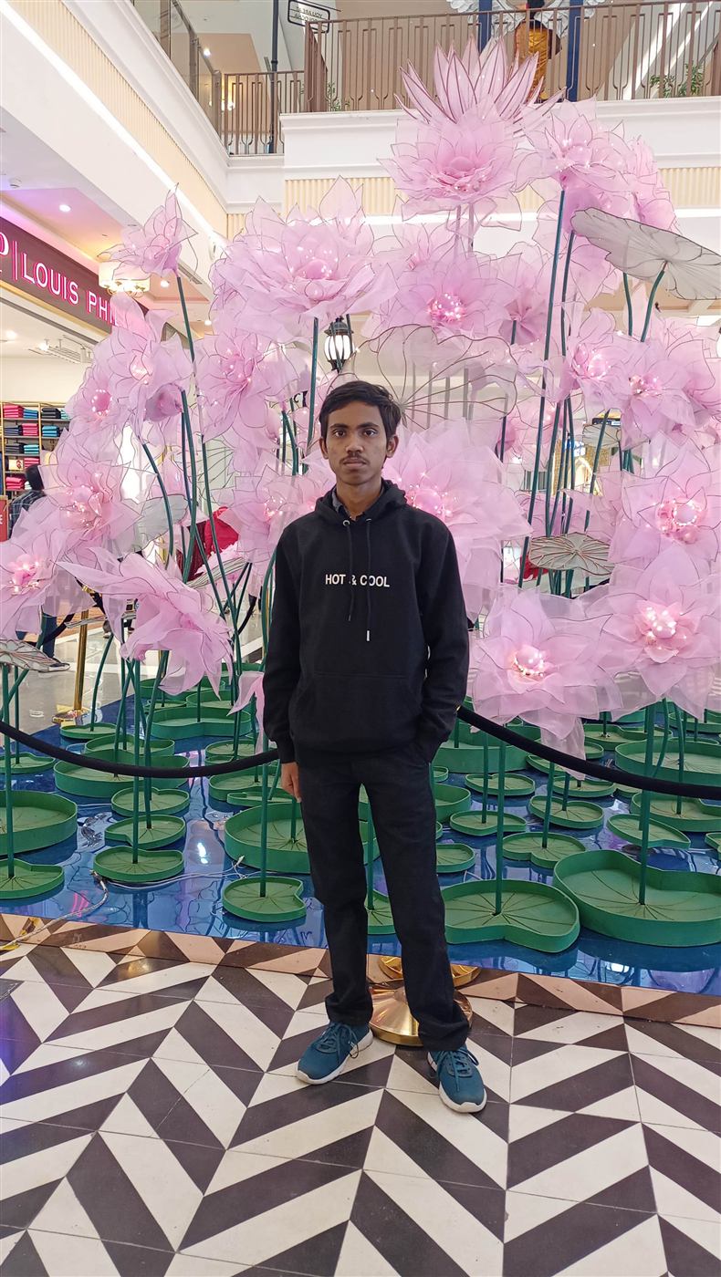 Santanu Pradhan - Physicist and PhD Research Scholar at IIT Kanpur